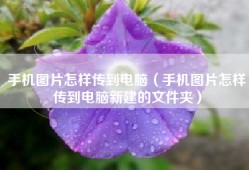 手机图片怎样传到电脑（手机图片怎样传到电脑新建的文件夹）