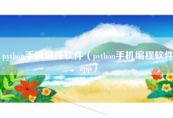 python手机编程软件（python手机编程软件app）