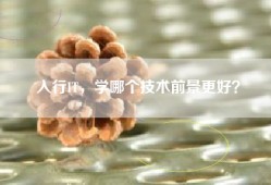 入行IT，学哪个技术前景更好？