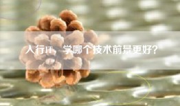 入行IT，学哪个技术前景更好？