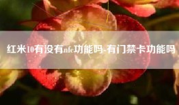 红米10有没有nfc功能吗-有门禁卡功能吗