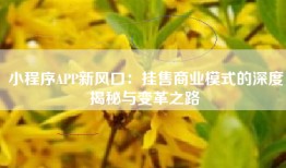 小程序APP新风口：挂售商业模式的深度揭秘与变革之路