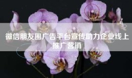微信朋友圈广告平台宣传助力企业线上推广营销