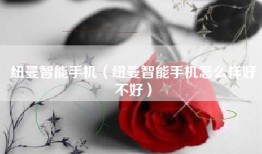 纽曼智能手机（纽曼智能手机怎么样好不好）
