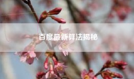 百度最新算法揭秘