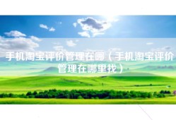 手机淘宝评价管理在哪（手机淘宝评价管理在哪里找）