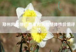 郑州网络推广要重内容和整体性价值评估