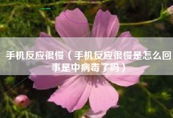 手机反应很慢（手机反应很慢是怎么回事是中病毒了吗）
