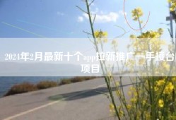 2024年2月最新十个app拉新推广一手接台项目