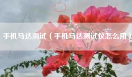 手机马达测试（手机马达测试仪怎么用）
