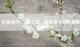 比亚迪汉L、唐l上市，新能源车战序幕拉开，点燃期待