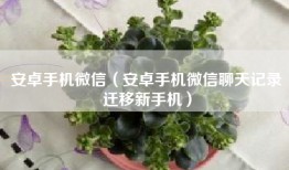 安卓手机微信（安卓手机微信聊天记录迁移新手机）