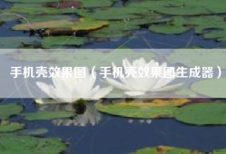 手机壳效果图（手机壳效果图生成器）