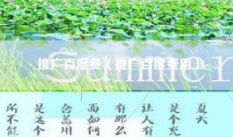 推广百度费（推广百度费用）