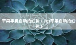 苹果手机自动抢红包（2021苹果自动抢红包）