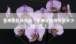 苹果手机换电板（苹果手机换电板多少钱一个）