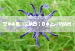 安卓手机pdf阅读器（安卓上pdf阅读器）