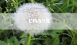扫码枪外壳