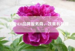 茂南SEO品牌服务商，效果有保障