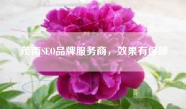 茂南SEO品牌服务商，效果有保障