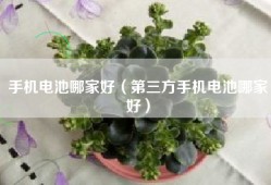 手机电池哪家好（第三方手机电池哪家好）