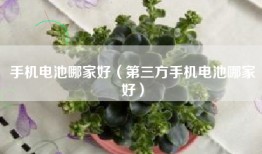 手机电池哪家好（第三方手机电池哪家好）