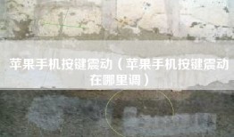 苹果手机按键震动（苹果手机按键震动在哪里调）