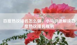 百度热议排名怎么做，小马识途解读百度热议排名规则