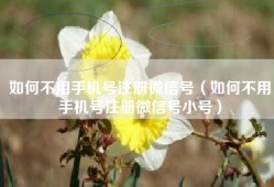如何不用手机号注册微信号（如何不用手机号注册微信号小号）