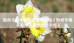 如何不用手机号注册微信号（如何不用手机号注册微信号小号）