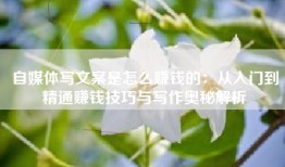 自媒体写文案是怎么赚钱的：从入门到精通赚钱技巧与写作奥秘解析