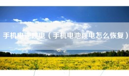 手机电池跳电（手机电池跳电怎么恢复）