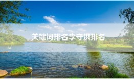 关键词排名李守洪排名