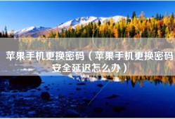 苹果手机更换密码（苹果手机更换密码安全延迟怎么办）
