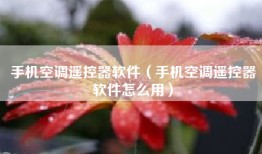 手机空调遥控器软件（手机空调遥控器软件怎么用）