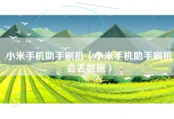 小米手机助手刷机（小米手机助手刷机会丢数据）