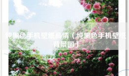 纯黑色手机壁纸高清（纯黑色手机壁纸背景图）