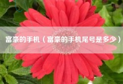 富豪的手机（富豪的手机尾号是多少）