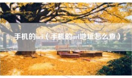 手机的url（手机的url地址怎么查）