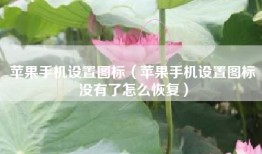 苹果手机设置图标（苹果手机设置图标没有了怎么恢复）