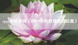oppo手机音质(OPPO手机音质音效设置)