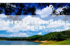 小米手机放大镜（小米手机放大镜怎么关闭设置）