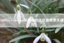 python+selenium实现自动化百度搜索关键词