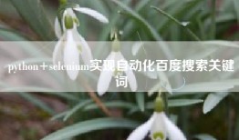 python+selenium实现自动化百度搜索关键词