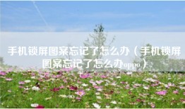 手机锁屏图案忘记了怎么办（手机锁屏图案忘记了怎么办oppo）