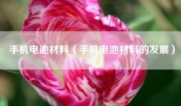 手机电池材料（手机电池材料的发展）