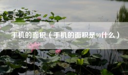 手机的面积（手机的面积是90什么）