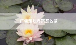 广告策划方案怎么做
