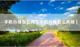 手机分身怎么弄（手机分身怎么弄掉）