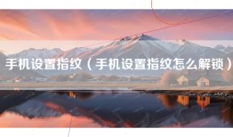 手机设置指纹（手机设置指纹怎么解锁）